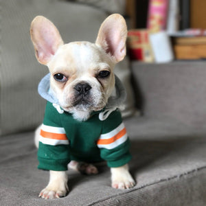 Warm Pet Sweater For Cozy Everyday Comfort