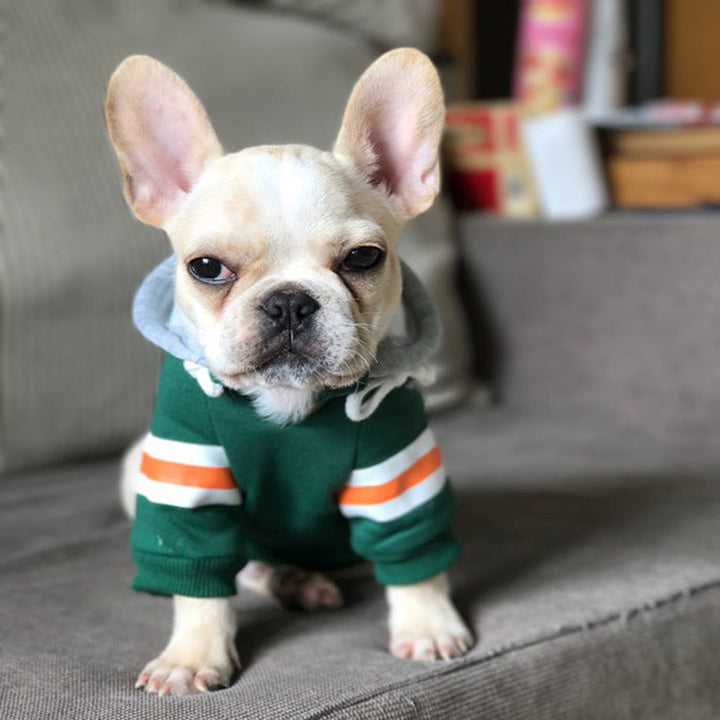 Warm Pet Sweater For Cozy Everyday Comfort