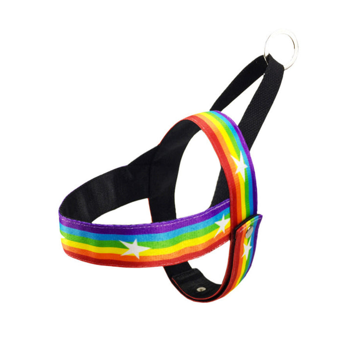 Discover the Joy of Walking Your Pet with Our Durable Rainbow Color Pet Chain Style Walking Leash