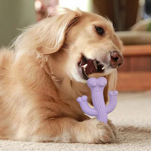 Interactive Durable Pet Chew Toy With Cactus Design