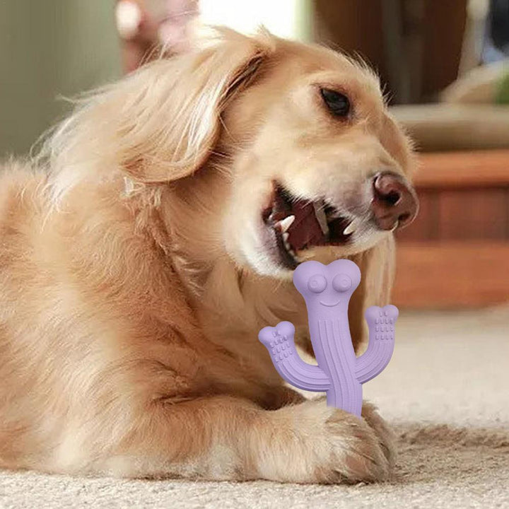 Interactive Durable Pet Chew Toy With Cactus Design