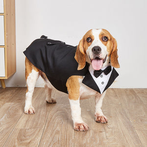 Elevate Your Pet's Style with Our Swallowtail Wedding Suit Jacket