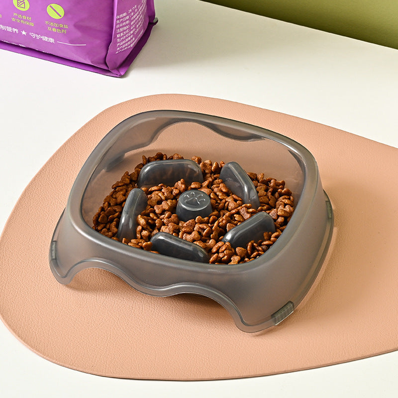 Slow Feeding Anti Choking Pet Water Bowl For Safe Drinking