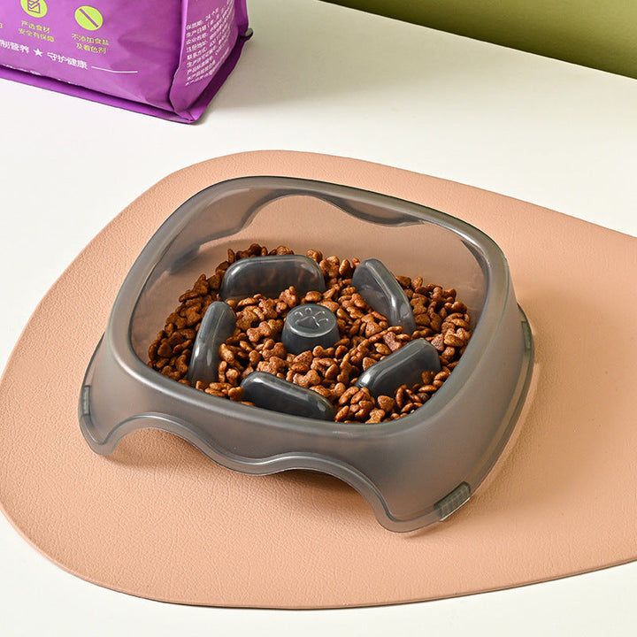 Slow Feeding Anti Choking Pet Water Bowl For Safe Drinking