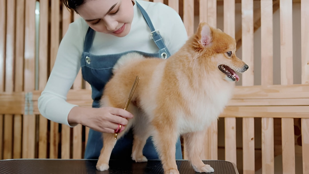 Simple Grooming Habits For Cleaner Happier Pets