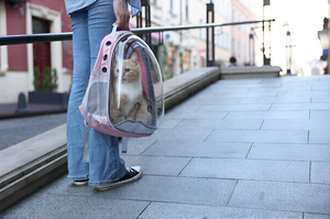 Safe Travel Starts With Quality Pet Carriers
